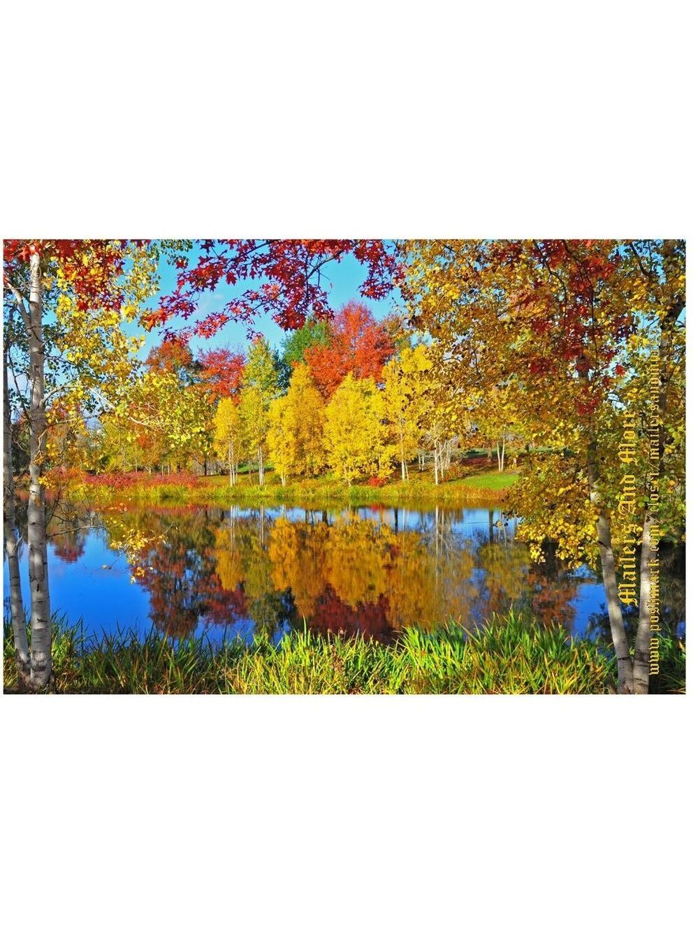 25 10X13 Poly Mailers Autumn Lake Shipping Envelopes PRICE IS FIRM Fall - Picture 3 of 9